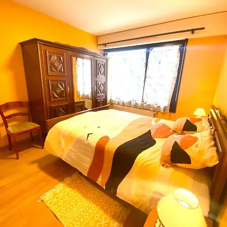 Apartment Proche Gare *